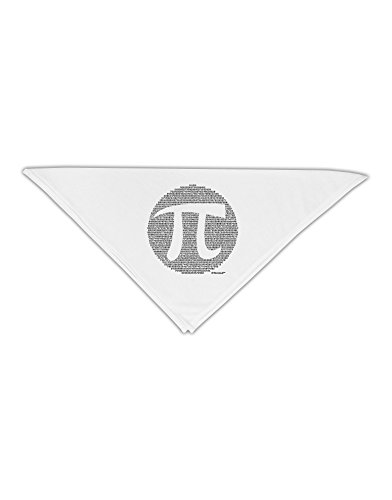 TooLoud Pi Day Design - Pi Circle Cutout Adult 19" Square Bandana