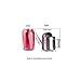 IMEEA Tiny Watering Can for Indoor Plants Bonsai Tree Stainless Steel Small Watering Can Succulents, 11oz/300ml