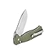 GANZO Firebird F720 Pocket Folding Bowie Knife 440C Stainless Steel Blade G-10 Handle with Clip Hunting Fishing Camping Outdoor EDC Knife (Green) with Gift - Multi-Tool Card 8-in-1