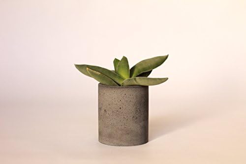 Smooth Cylinder Concrete Planter