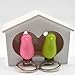 CUGBO White Birdhouse with 2 Whistle Sparrow Key Ring Holder (Pink and Green)