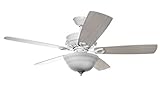 Hyperikon 42 Inch Ceiling Fan, with Remote, Classical Style, White, 5 Reversible Blades and Frosted Dome Light