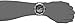 Armitron Sport Men's 40/8309GRY Sport Watch