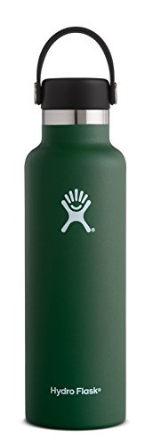 Hydro Flask Standard Mouth Water Bottle, Flex Cap - 21 oz, Sage