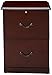 Z-Line Designs 2-Drawer Vertical File Cabinet, Cherry