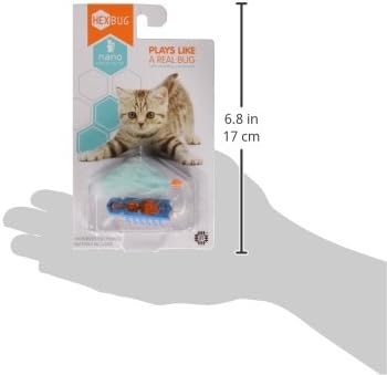 hexbug for cats