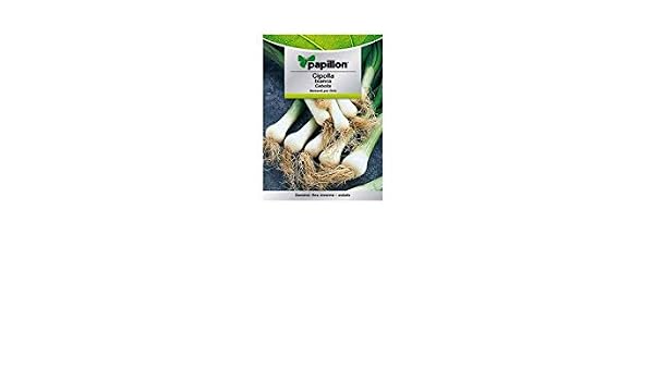 Semillas Cebolla Blanca (4 Gramos): Amazon.es: Jardín