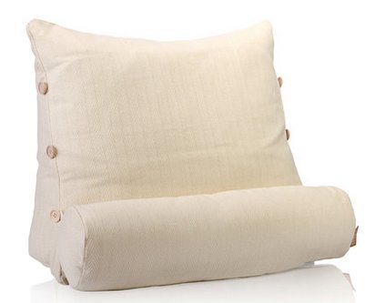 Easem Lumbar Support Multi Purpose Cushion Ergonomic Pillow