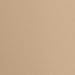 Flexees Women's Maidenform Firm Foundations Thigh Slimmer, Latte Lift, MEDIUM