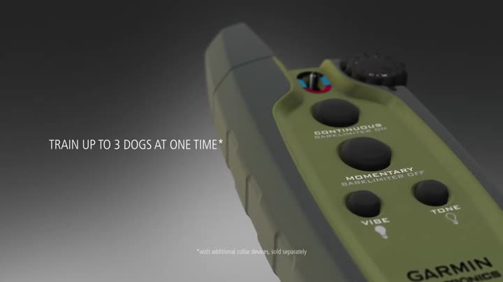 Thumbnail 16