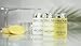 Terra Pure Shampoo, Travel Size Hotel Amenities, 1 oz. (Case of 100)