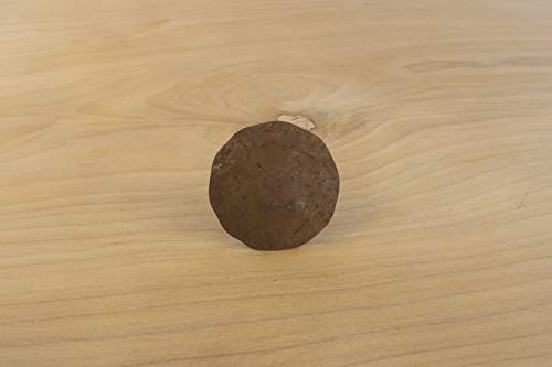 25 Pack Door Clavos Decorative Nails 1.25" Rustic Hammered Iron Various Finishes Available