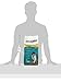 LitterMaid Premium Natural Clumping Cat Litter (LML100)