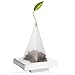Tea Forte Ceramic TEA TRAY for Presenting and Resting Signature Pyramid Tea Infusers, Two Per Box, Orchid White