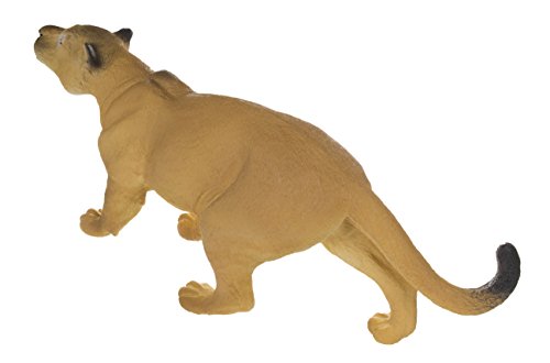 Wildlife Wonders: Puma concolor