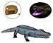 Liberty Imports Remote Control Crocodile Toy RC Walking Alligator with Lights and Sound Effects