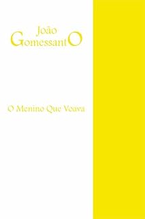 Livro O Menino Que Voava