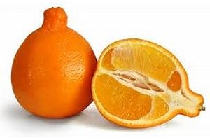 TROPICAL IMPORTERS Fresh Honeybells (Tangelos) 3 Lbs (Fresh Honeybells (Tangelos) 3 Lbs)