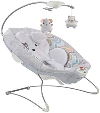 sweet snugapuppy dreams deluxe bouncer