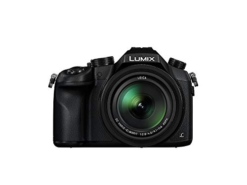 Panasonic LUMIX DMC-FZ2500 Digital Camera 4K Video, Polaroid 64GB Memory Card, Microphone, Monopod, Flash, Ritz Gear Case, 2 Batteries, Charger, Ritz Gear Tripod, Cleaning Kit and Accessory Bundle