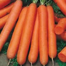 ANTIER CARROT KR-NANTES SEEDS (AVG 50-100) SEEDS X 10 PACKET