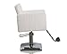 FlagBeauty White Hydraulic Barber Styling Chair Hair Beauty Salon Equipment Square Base