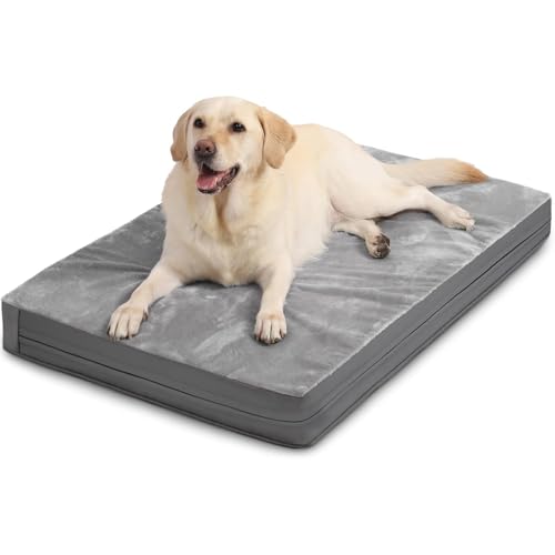 Muja Cama para Perro Grandes de Doble Cara, Cama Ortopédica para Perros con Almohadillas para Orejas Extraíbles y Parte Inferior Antideslizante, Adecuado para Casa para Perro, Pisos y Sofás