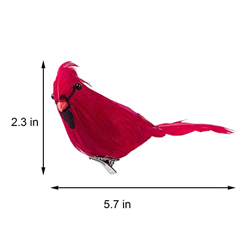 31iEPfl15QL.jpg