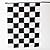 12" x 18" Cloth Racing Flags