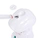 Personal Portable Table TOP Mini Facial HOT Steamer Salon Professional OZONE
