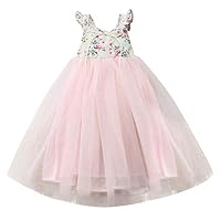 Dsood Kids Clothes Boys 2-8,Children Kids Girls Sleeveless Fancy Wedding Bridesmaid Gown Formal Dresses,Girls