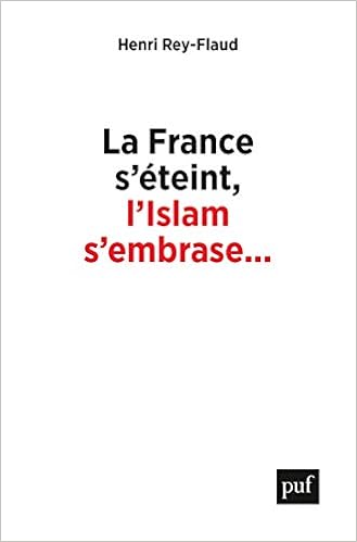 Amazon Fr La France S Eteint L Islam S Embrase Reflexions Sur Un Malaise Rey Flaud Henri Livres