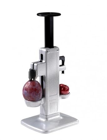 E521174 Westmark Kombientsteiner