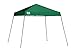 Quik Shade Expedition 10 x 10-Foot Instant Canopy, Slant Leg Outdoor Tent, 64 Square Feet of Shade for 8-12 People - Green