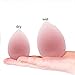 GNAWRISHING 6pcs Makeup Sponge Set