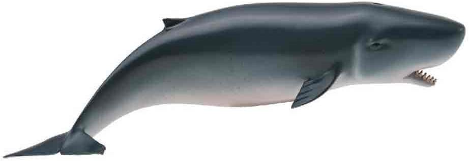 CollectA Sea Life Pygmy Sperm Whale #88653