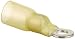 EWCS Ring Terminal Marine Grade - Adhesive Lined Heat Shrink - A81178-12-10 AWG - #8 Stud - 25 Pack primary