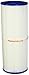 Pool/Spa Filter Cartridge Pleatco PRB25-IN Replaces Unicel C-4326/Filbur FC-2375/Rainbow Dynamic 25 primary