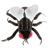 GIANT MICROBES House Fly Musca Domestica Educational Plush