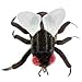 GIANT MICROBES House Fly Musca Domestica Educational Plush