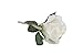 White Silk Rose Flower Boutonniere with Cream Ribbon High End Quality