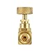 Litorange 2 Pack Heavy Duty Brass Replacement Control Needle Valve 1/4
