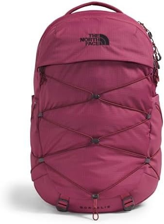 Amazon.com: THE NORTH FACE Women's Jester Everyday Laptop Backpack - PFAS  Free, Cyber Berry Dark Heather, One Size : Electronics