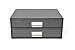 Bigso Box of Sweden Birger 2-Drawer Fiberboard Label Frame Document Letter Box | Desktop Drawers for Loose Papers, Documents with Metal Label Holder | 13.1