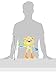 Brazil Rio Olympic 2016 Paralympic Plush Mascot Vinicius and Tom Dolls, 2-Pcs