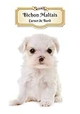 2020 Bichon Maltais Carnet de Bord: Chiot ou Chien | 139 Pages | 12 Mois | Format A4 | Agenda | Jour by Notebooks Journals XLPress