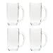 QG 21 Ounces Clear Acrylic Plastic Drinking Beer Mug Set of 4