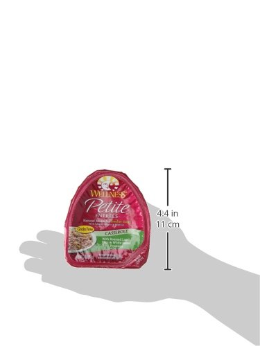 WELLNESS PETITE ENTREES CASSEROLE GRAIN FREE CASSEROLE ROASTED LAMB NATURAL WET DOG FOOD, 3-OUNCE CUP