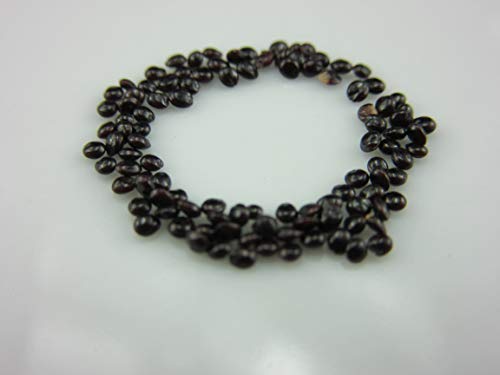 1071A-Amaranthus Tricolor, Giant Joseph Coat (Family Amaranthaceae) Seeds by Robsrareandgiantseeds UPC0764425786504 Non-GMO,Organic,USA Grower,1071-A Package of 25 Seeds