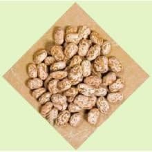Trinidad Benham Peak Pinto Beans, 50 Pound -- 1 each.
